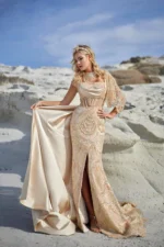 Altın Elbise - Görsel 3